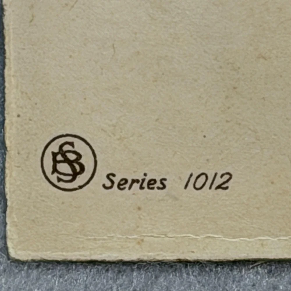 N/A elegant embossed